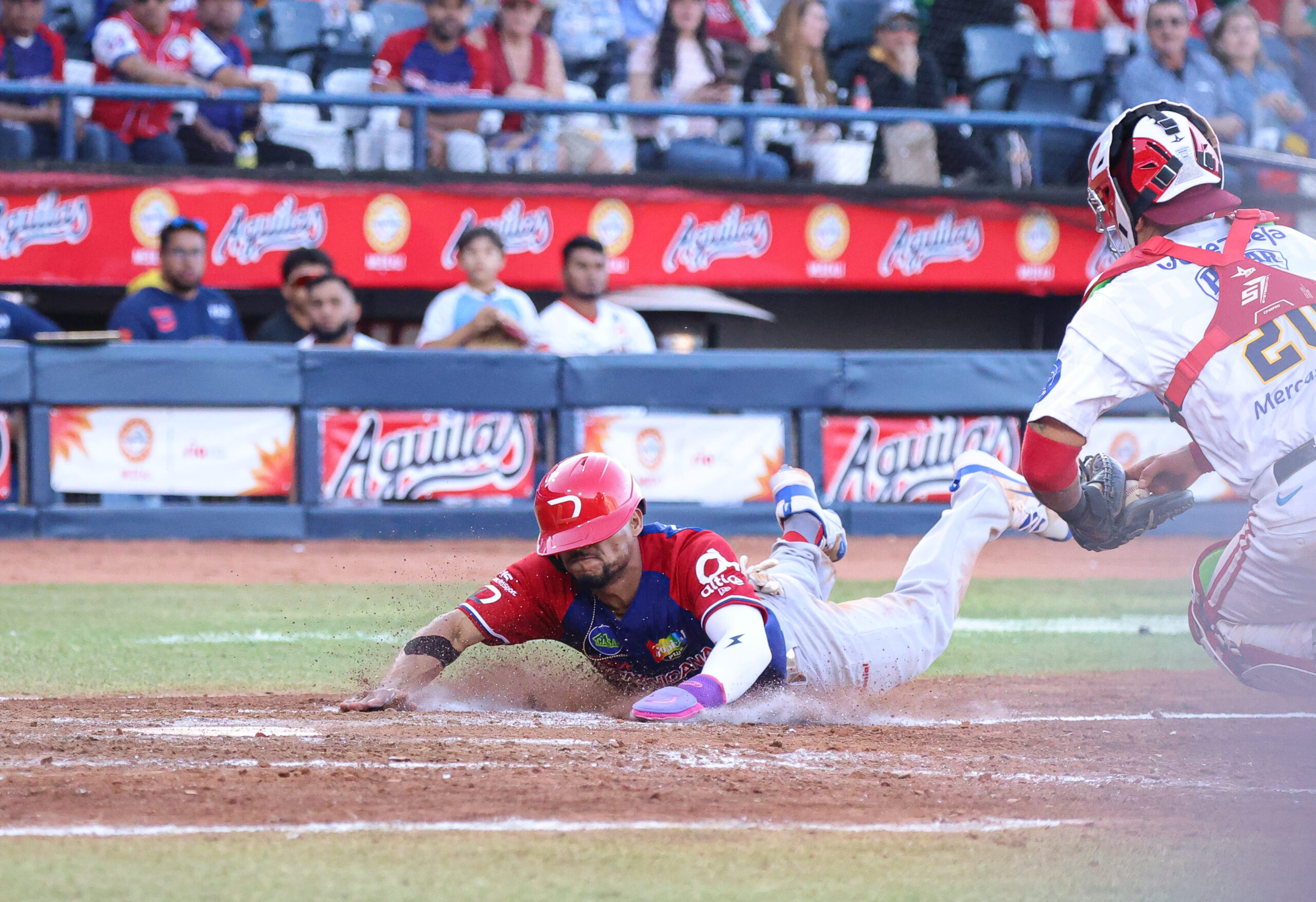 Gustavo Núñez se deslizó quieto y anotó la tercera carrera de la semifinal entre el Escogido de RD y Venezuela en la Serie del Caribe