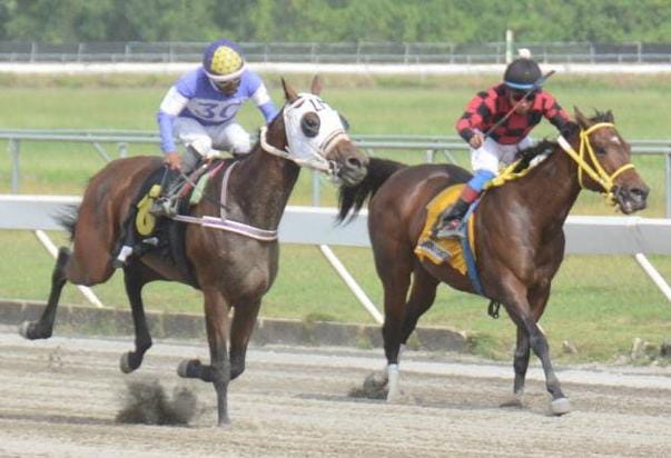 José L. Novas brilla con dos victorias en el Quinto Centenario